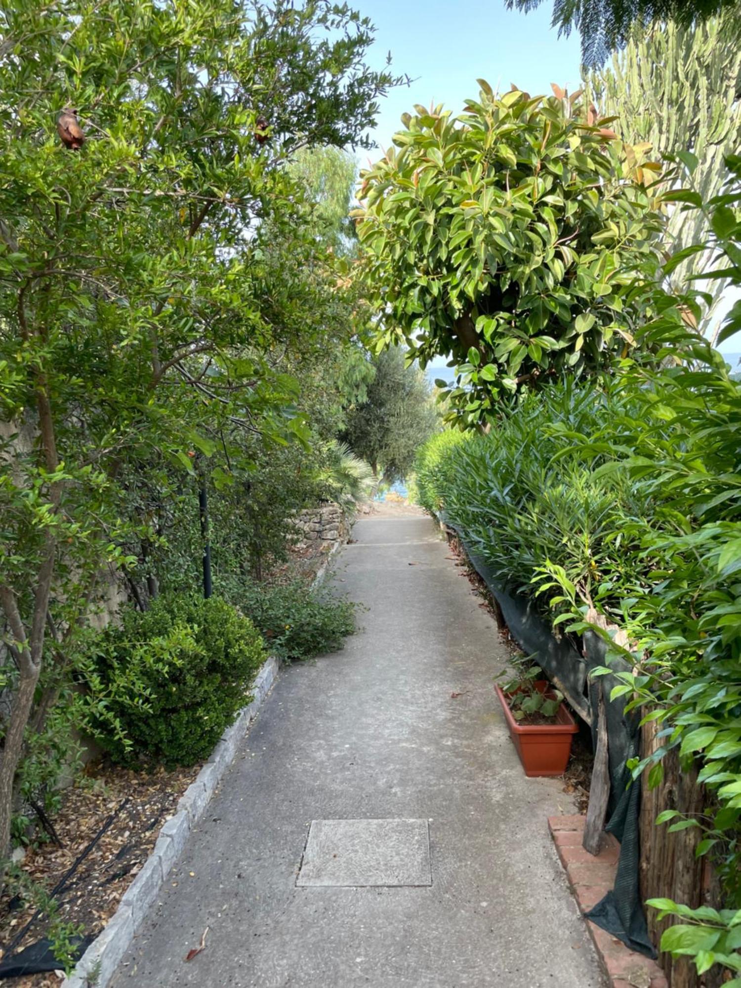 Villa Hibiscus Scopello スコペッロ エクステリア 写真