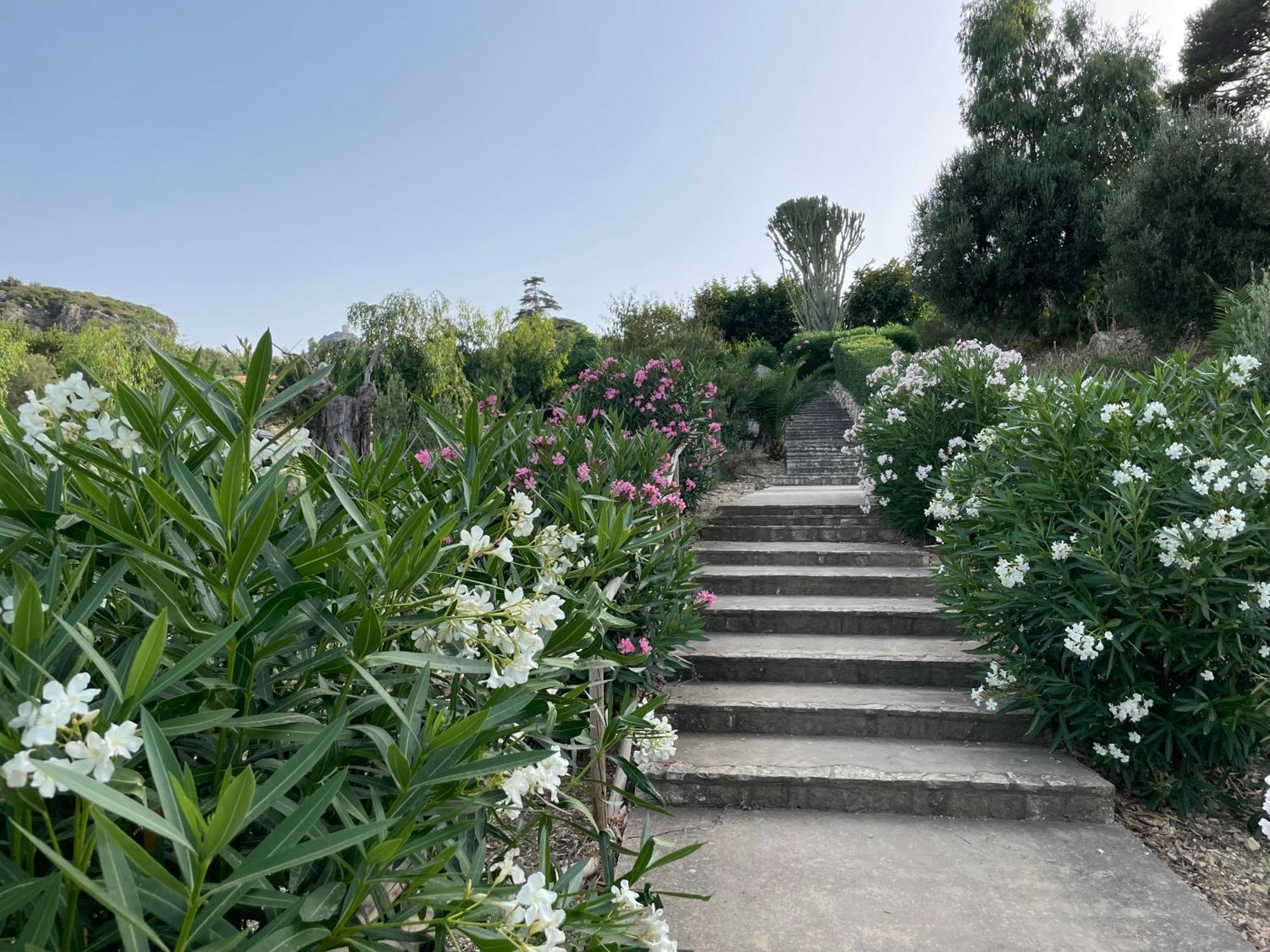 Villa Hibiscus Scopello スコペッロ エクステリア 写真