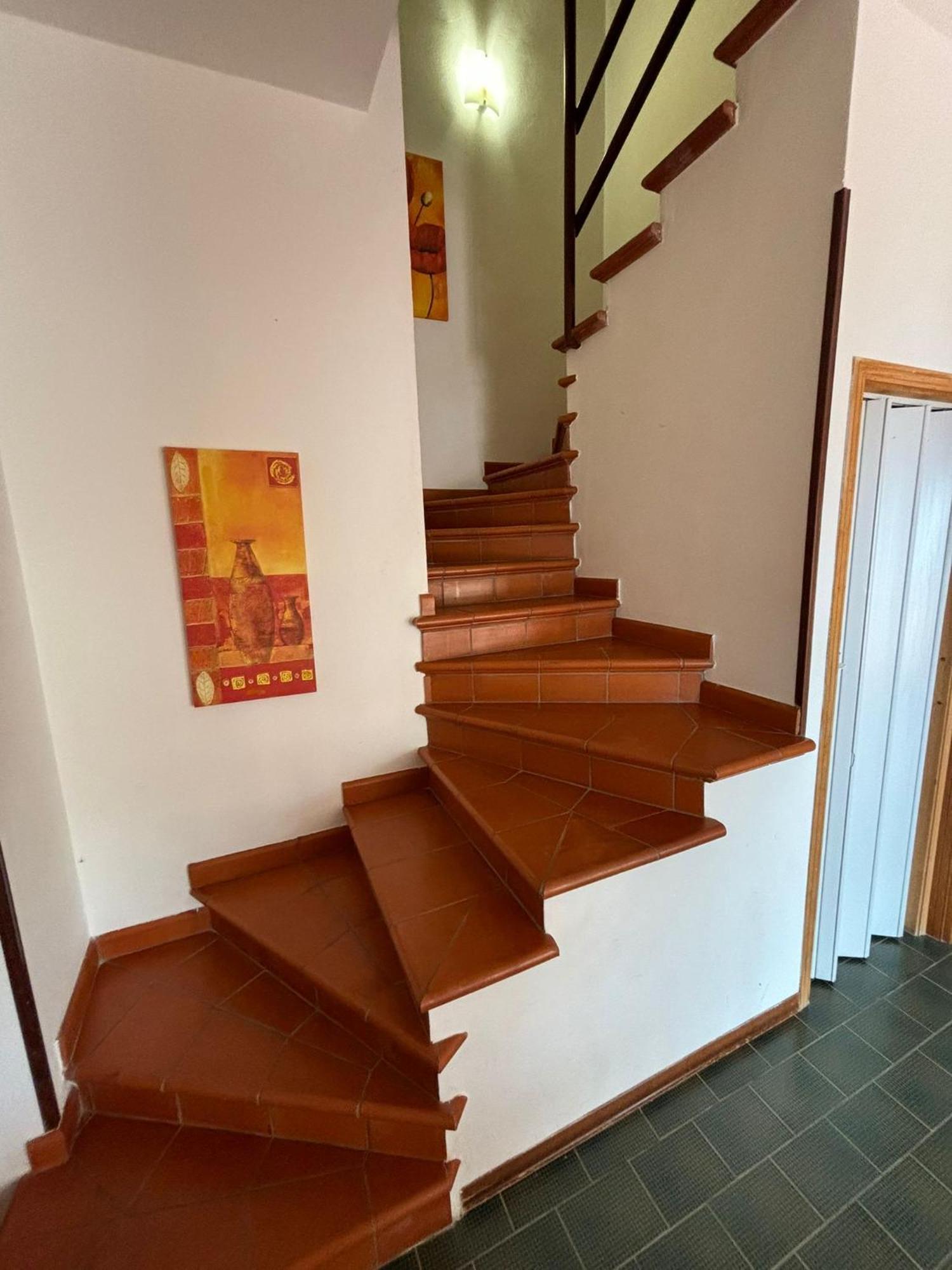 Villa Hibiscus Scopello スコペッロ エクステリア 写真