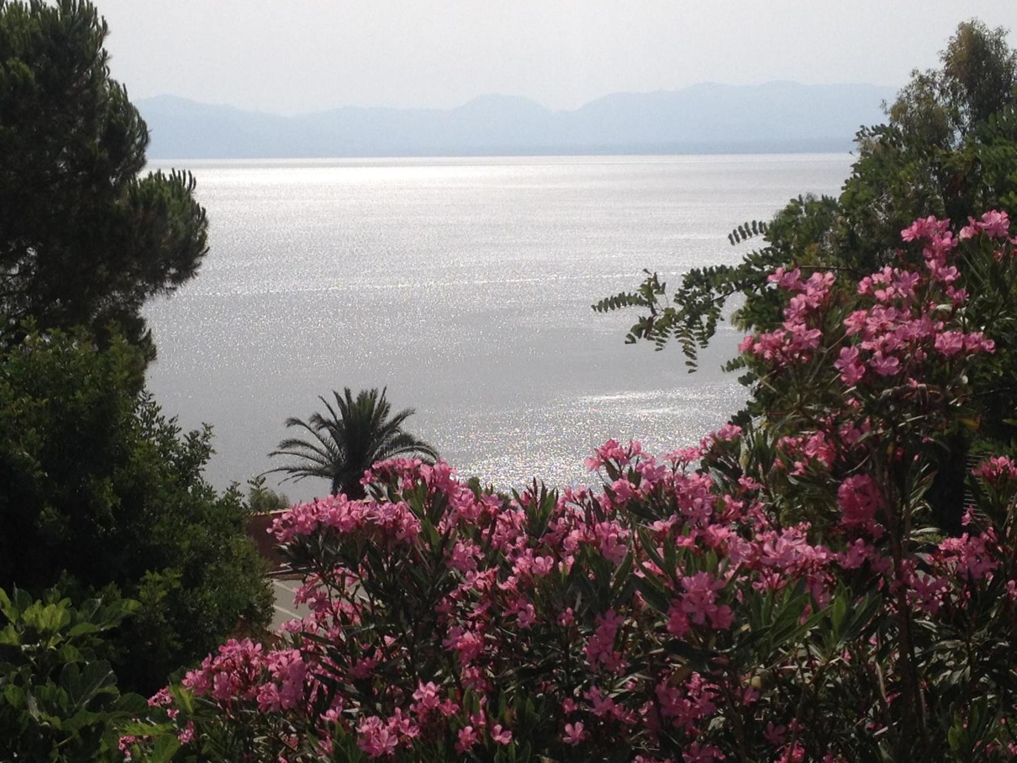 Villa Hibiscus Scopello スコペッロ エクステリア 写真